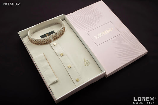 Premium Panjabi (1101)