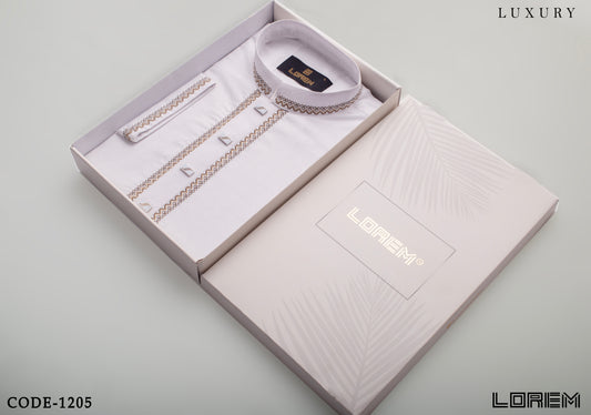 Luxury Panjabi (1205)