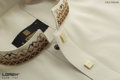 Premium Panjabi  (1101)