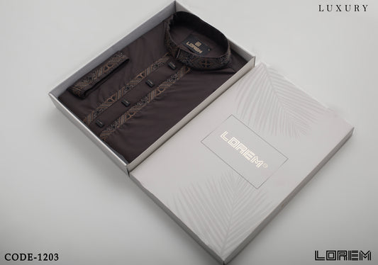 ..Luxury Panjabi (1203)