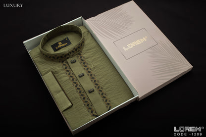 Luxury Panjabi (1209)