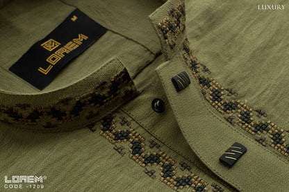 Luxury Panjabi (1209)