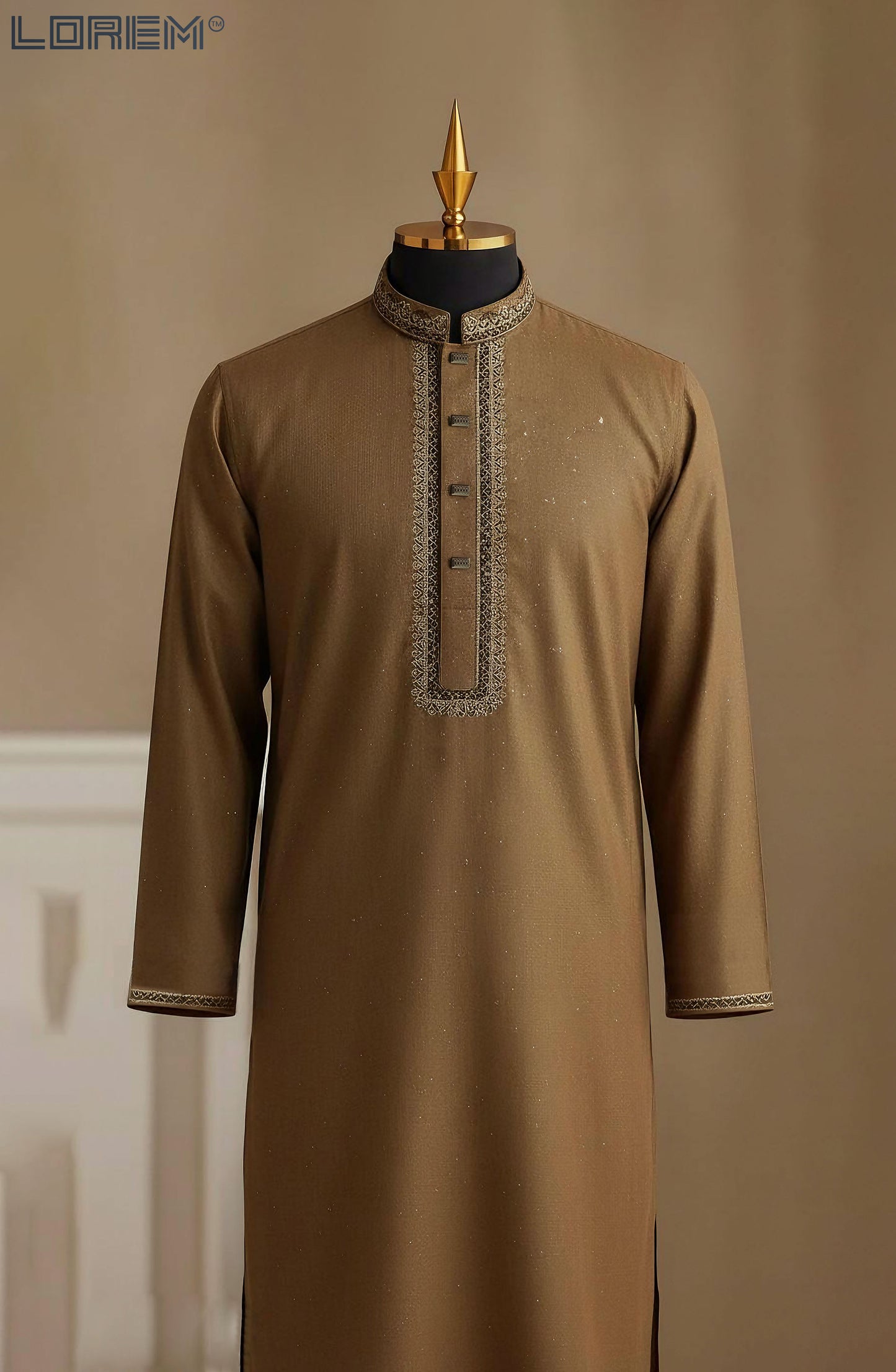 Luxury Panjabi (1210)