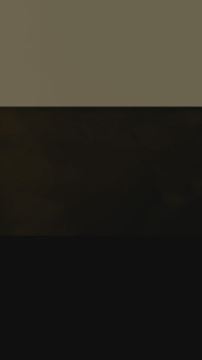 Al-Noor Panjabi  (1807)